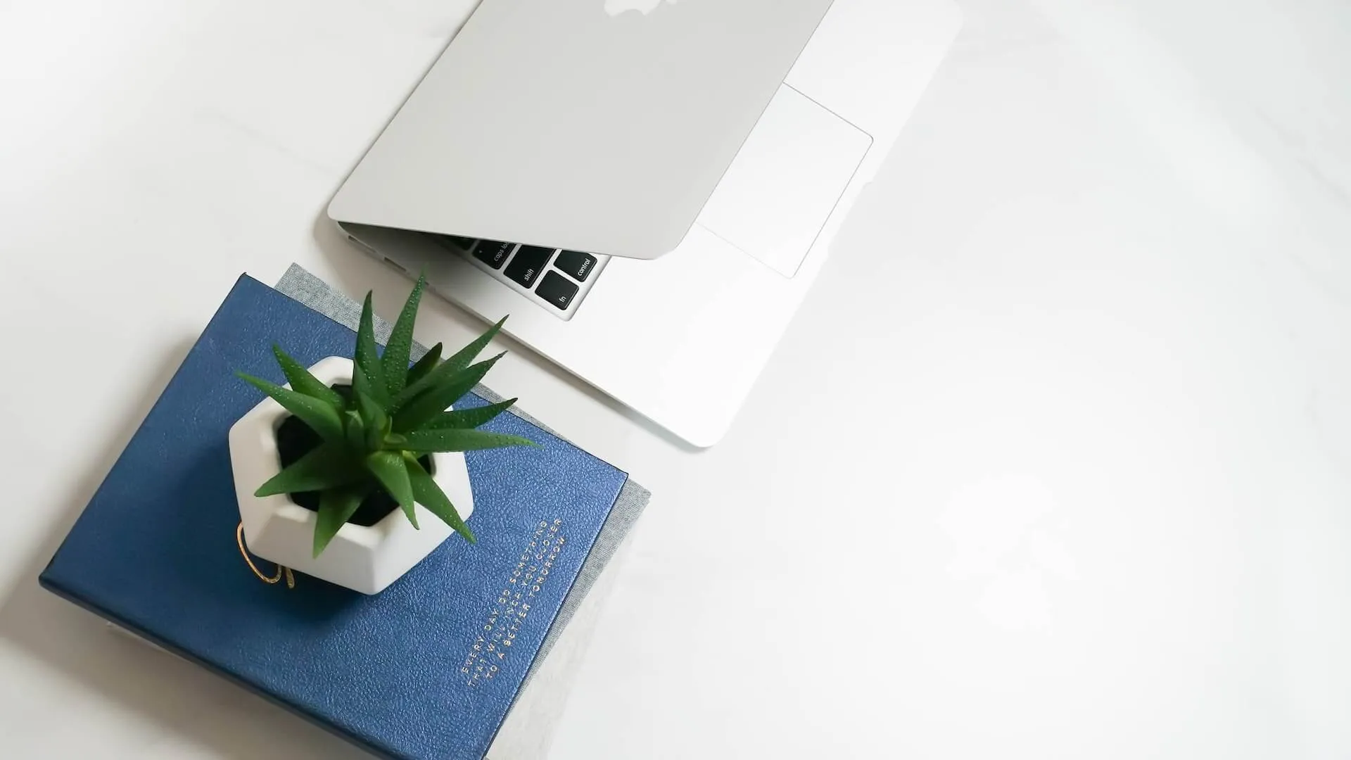 Devron - Professional Development Services
